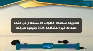 «طريقة سهلة» خطوات الاستعلام عن منحة العمالة غير المنتظمة 2025 وكيفية صرفها